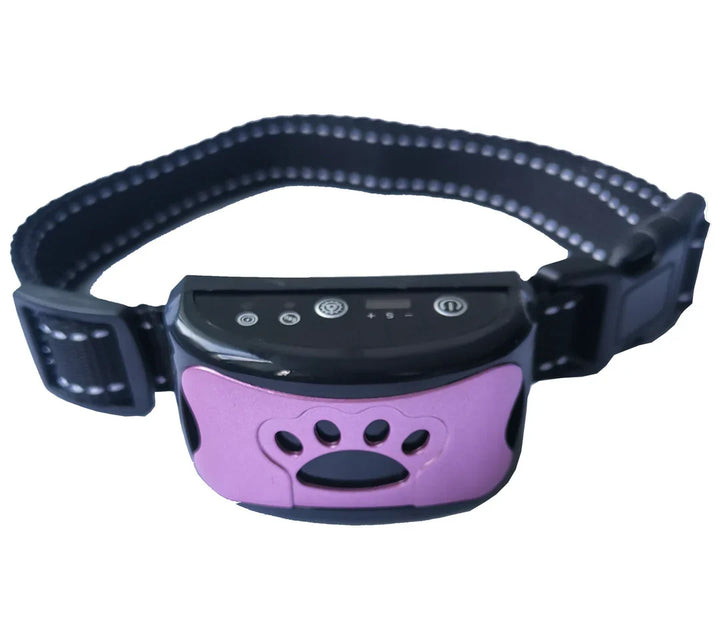 Dog Training Collar for Quiet Behavior – CalmPaws
