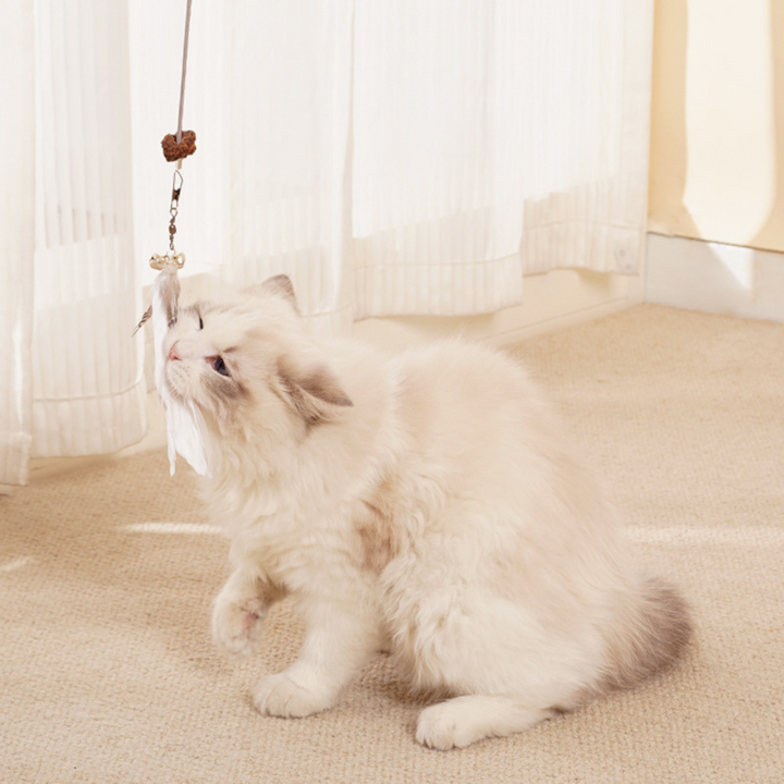 Hanging Treat Toy for Cats