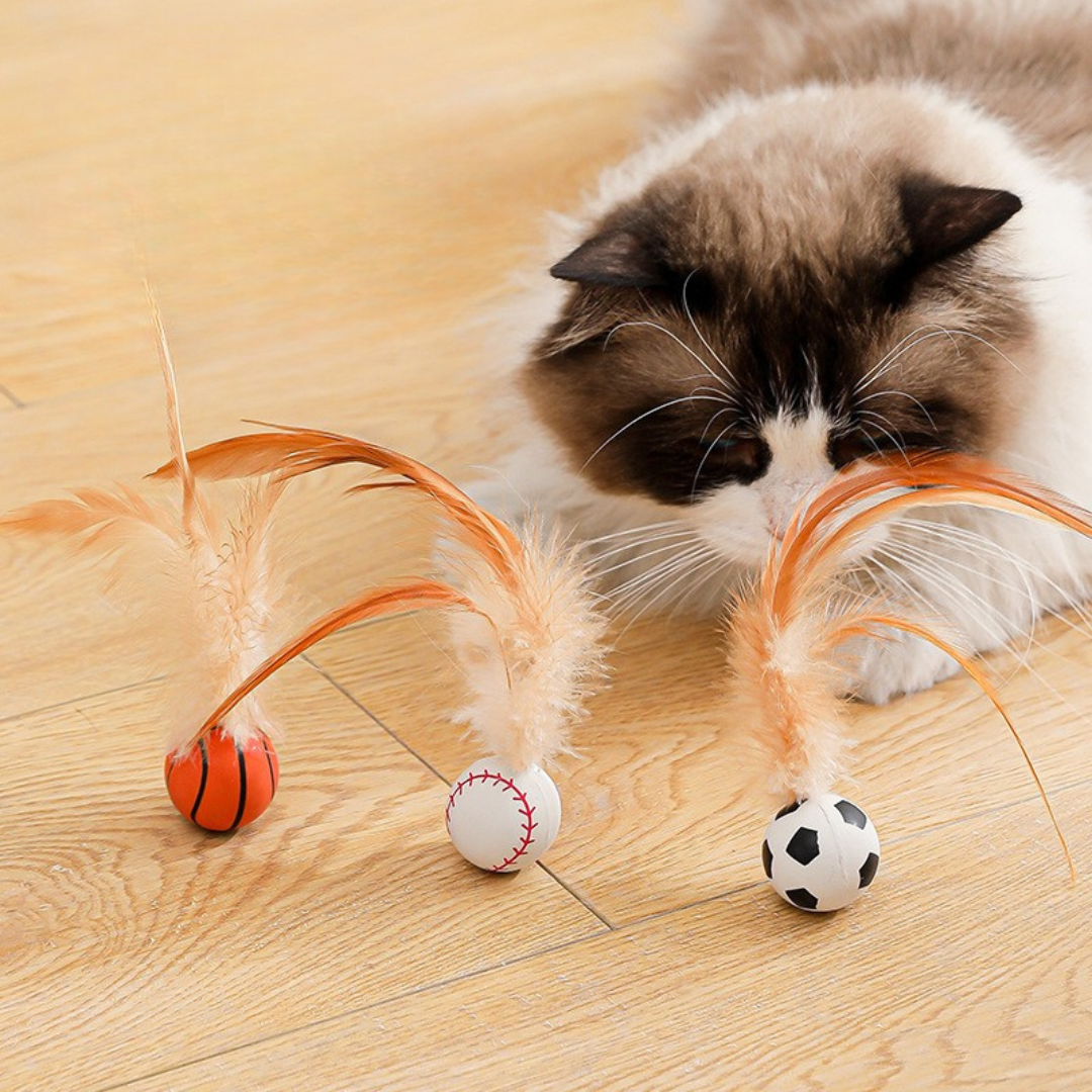 Cat Feather Rubber Ball Toy