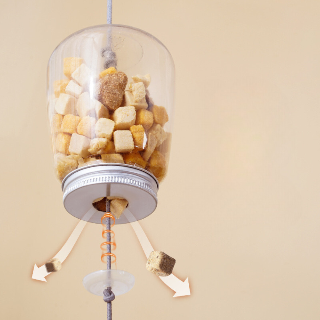 Hanging Treat Toy for Cats