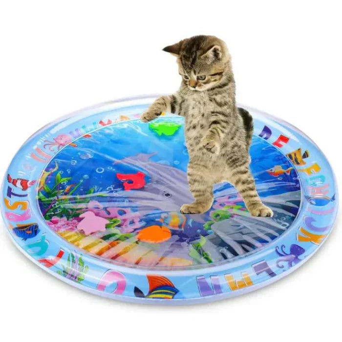 Interactive Cat Play Mat – JumpJoy