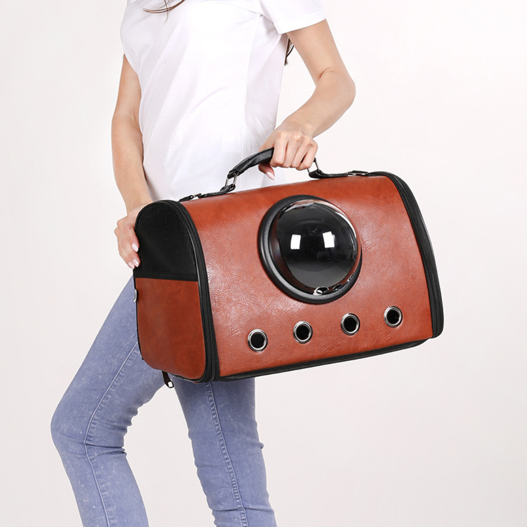 Airplane and car travel bag for pets