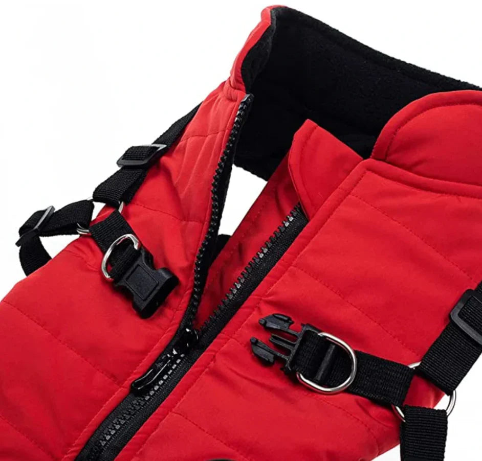 FrostGuard All-Weather Dog Jacket