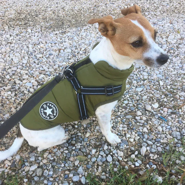 FrostGuard All-Weather Dog Jacket
