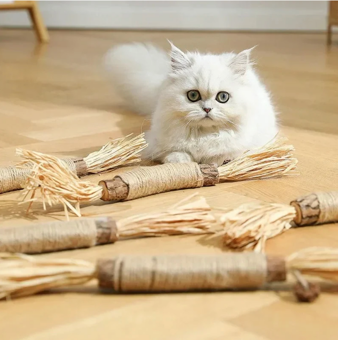 FelineFresh Dental Sticks
