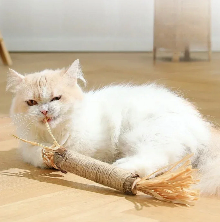 FelineFresh Dental Sticks