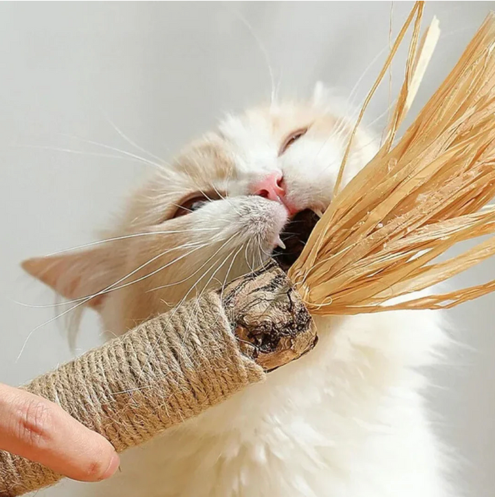 FelineFresh Dental Sticks