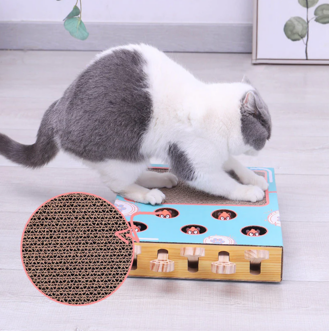 FelineQuest Adventure Box