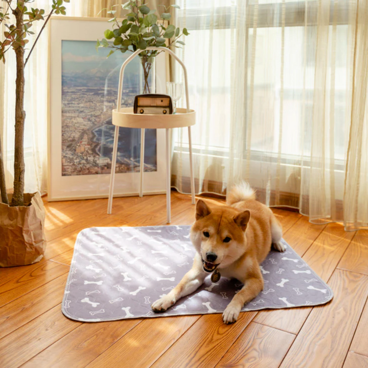 PawPatrol Potty Mat