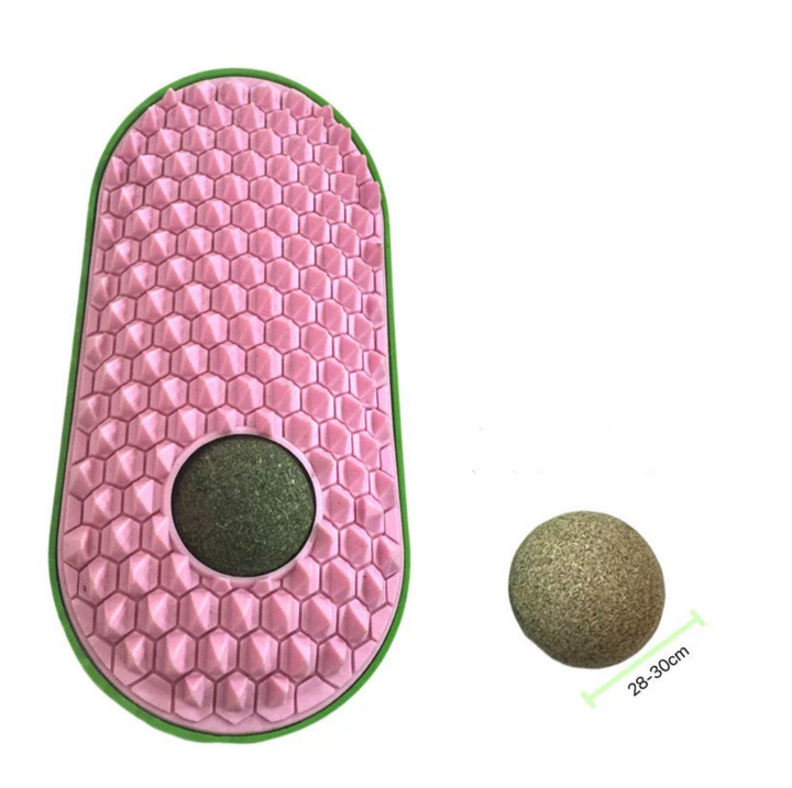 CatZenith Groom & Nibble Brush