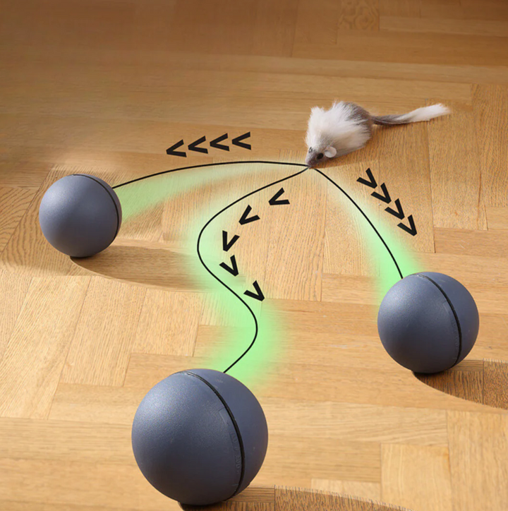 TailChase Smart Cat Ball