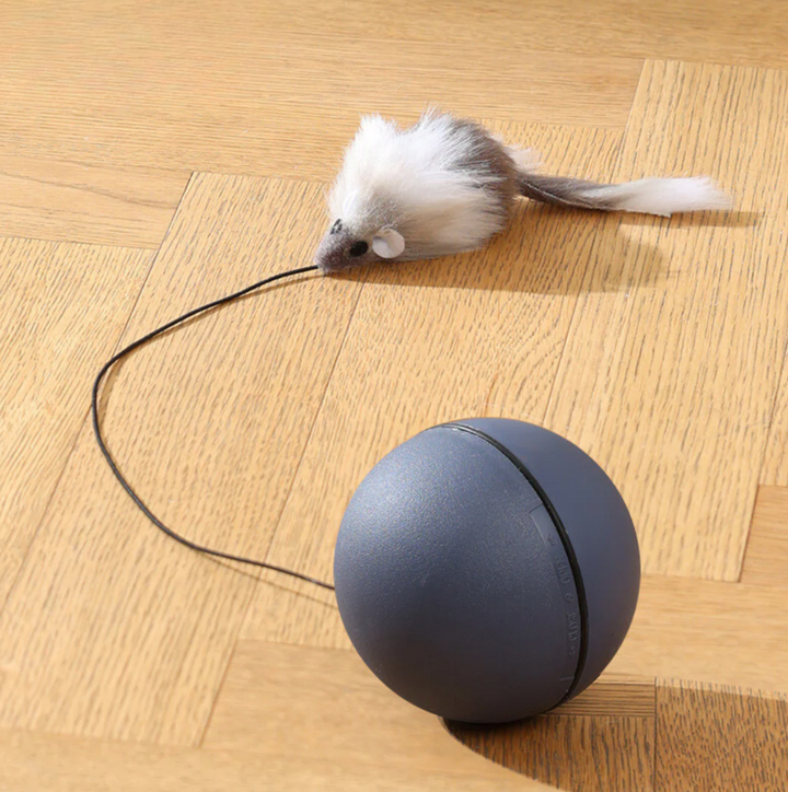 TailChase Smart Cat Ball