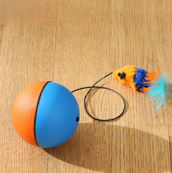 TailChase Smart Cat Ball