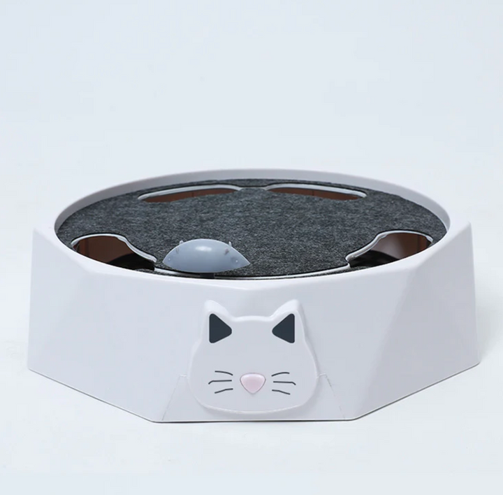 HuntPlay Hide & Seek Mouse Game