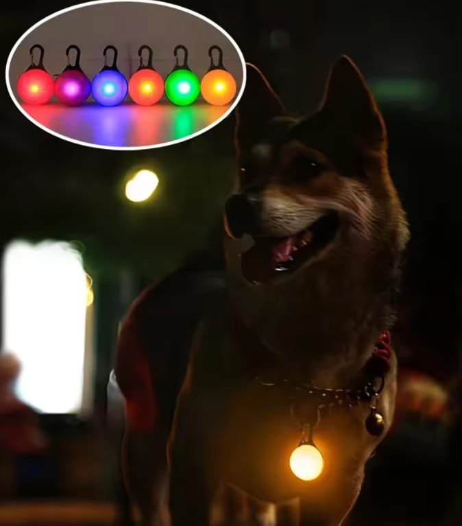 LED Luminous Dog & Cat Collar