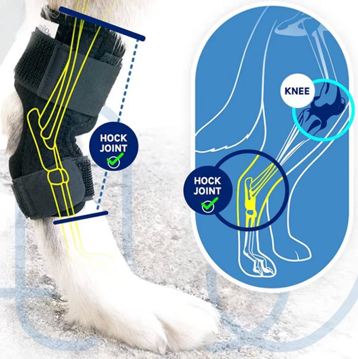 JointGuard Dog Leg Support Wrap