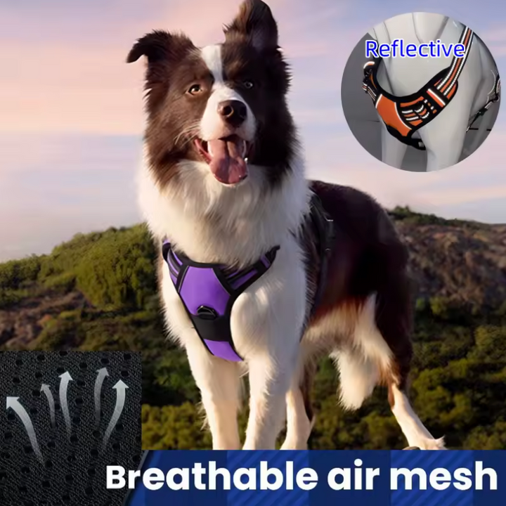 AeroStride Heavy-Duty No-Pull Harness