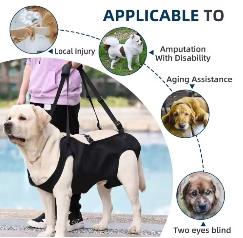 LiftEase Mobility Sling