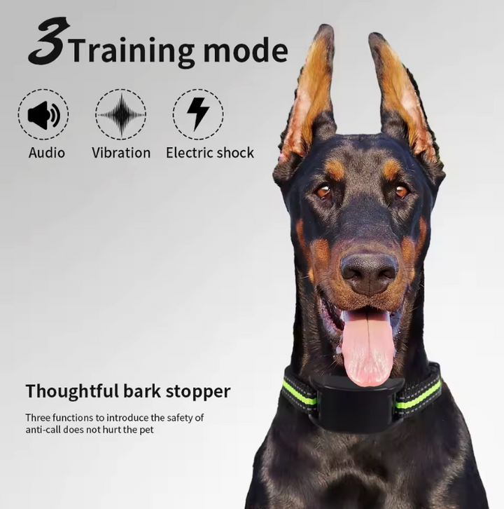 Smart Training Collar