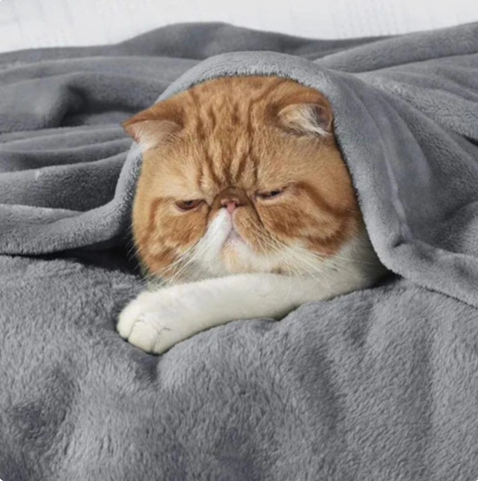 SnuggleShield Waterproof Blanket