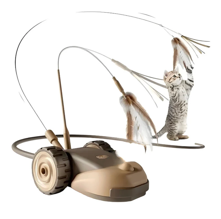 ChaseWhisker Interactive Cat Toy