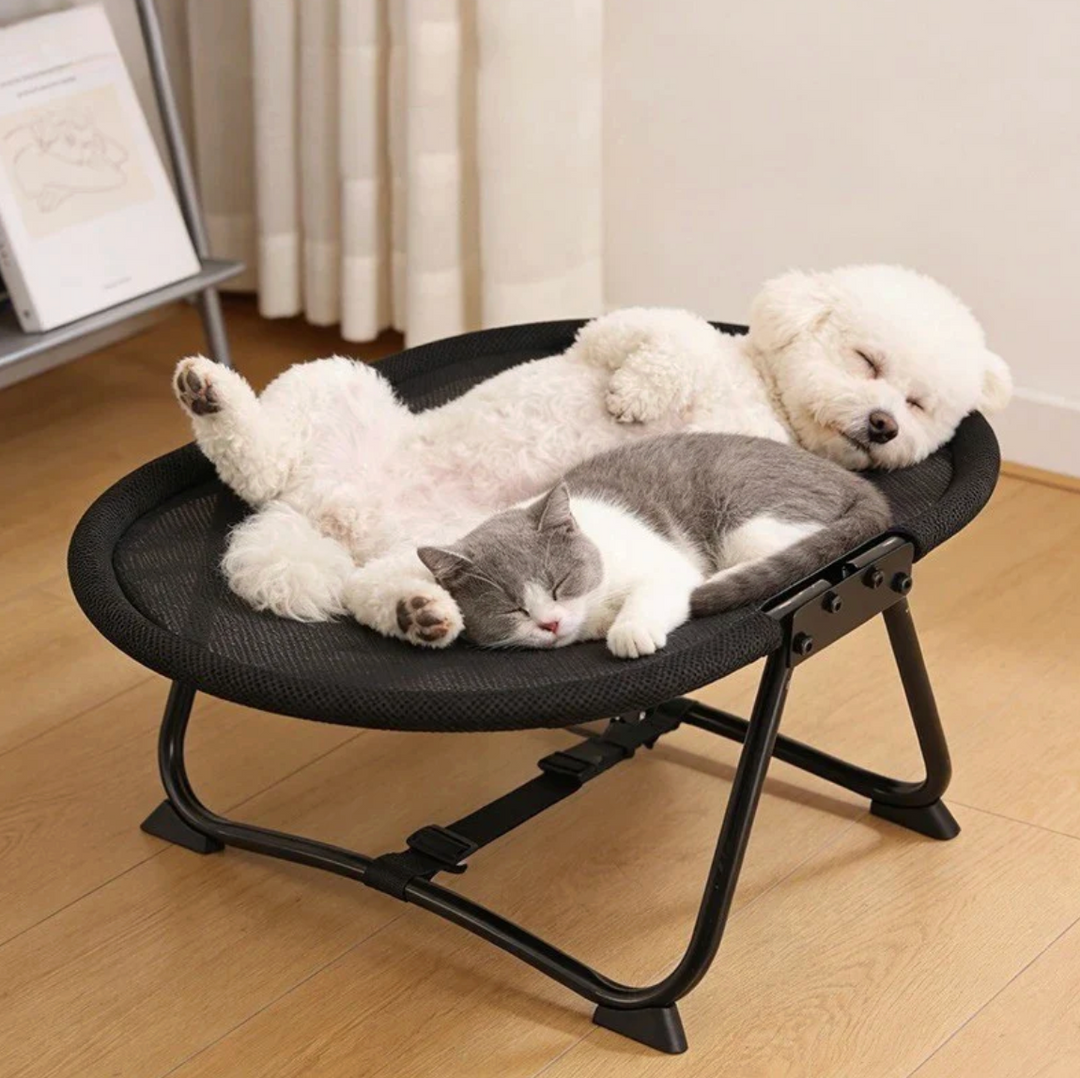 CloudNest Pet Lounge