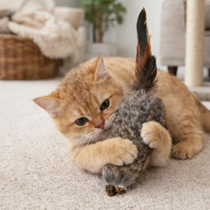 PounceFur Toy