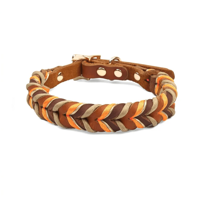 Handwoven Leather Dog Collar