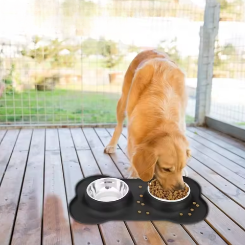 Anti-Slip Double Dog Bowl | Stainless Steel | Silicone Mat Base | Food & Water Feeder