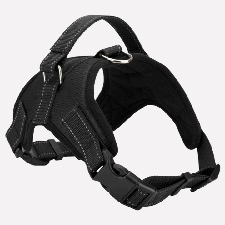 Pets Collar & Lead Set