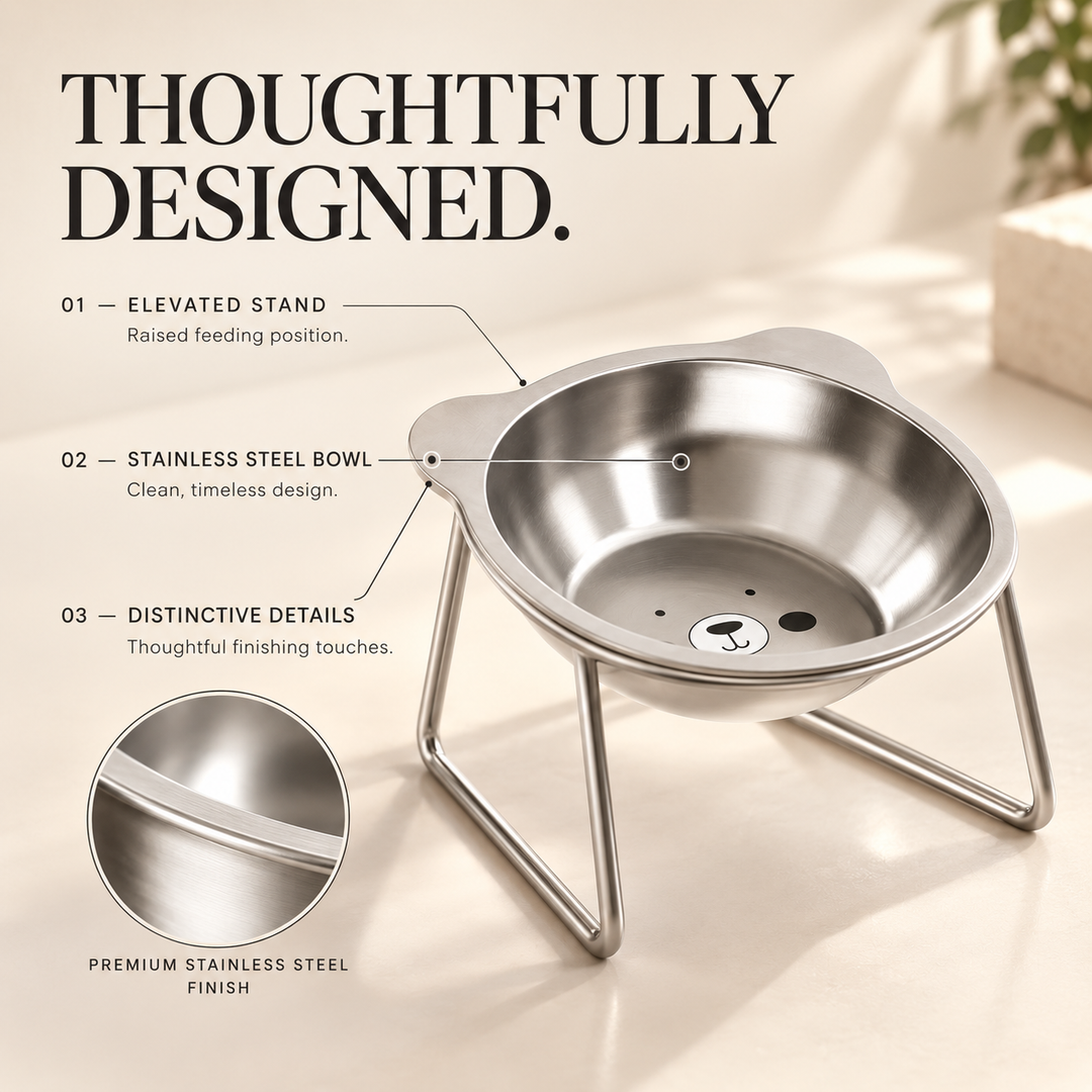ElevoPet Raised Dog Bowl