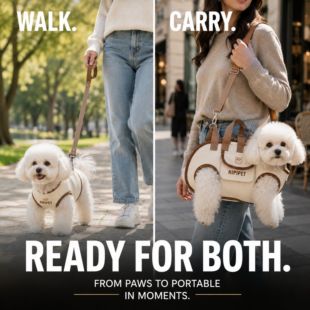 CarryMate Pet Travel Bag with Harness & Leash