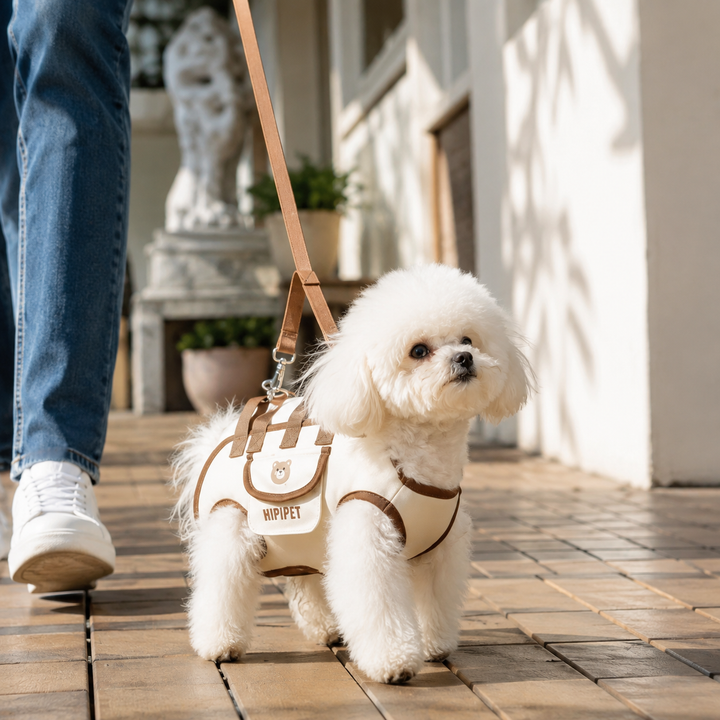 CarryMate Pet Travel Bag with Harness & Leash