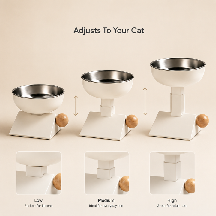 Adjustable Elevated Cat Bowl