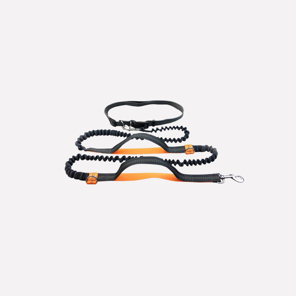 Hands‑Free Dog Running Leash