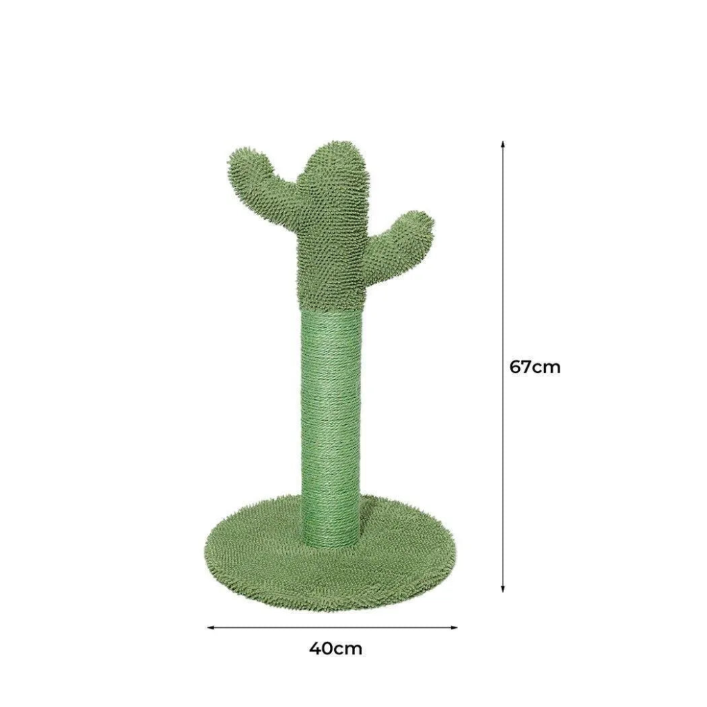 Playful Cactus Charm