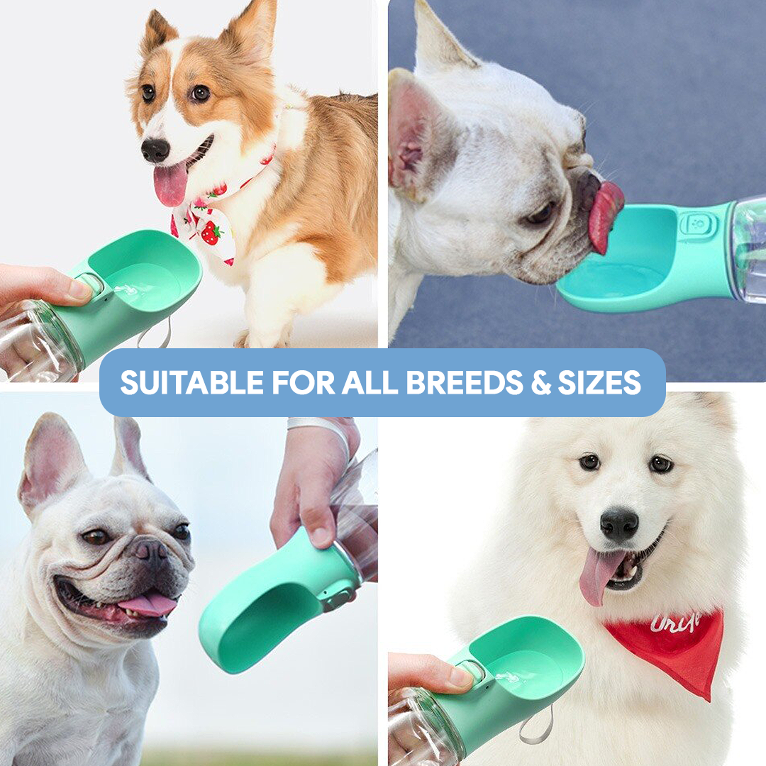 Portable Dog Water Bottle | Leakproof Travel Bowl | One-Hand Use | Durable for Walking Hiking