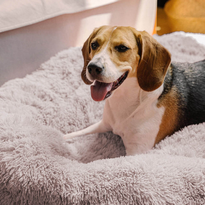 Calming Dog Bed | Round Fluffy Anti-Anxiety Bed | Raised Rim for Joint Support | Machine Washable | Faux Fur
