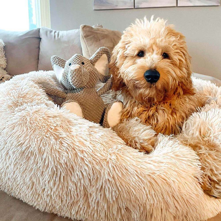 Calming Dog Bed | Round Fluffy Anti-Anxiety Bed | Raised Rim for Joint Support | Machine Washable | Faux Fur
