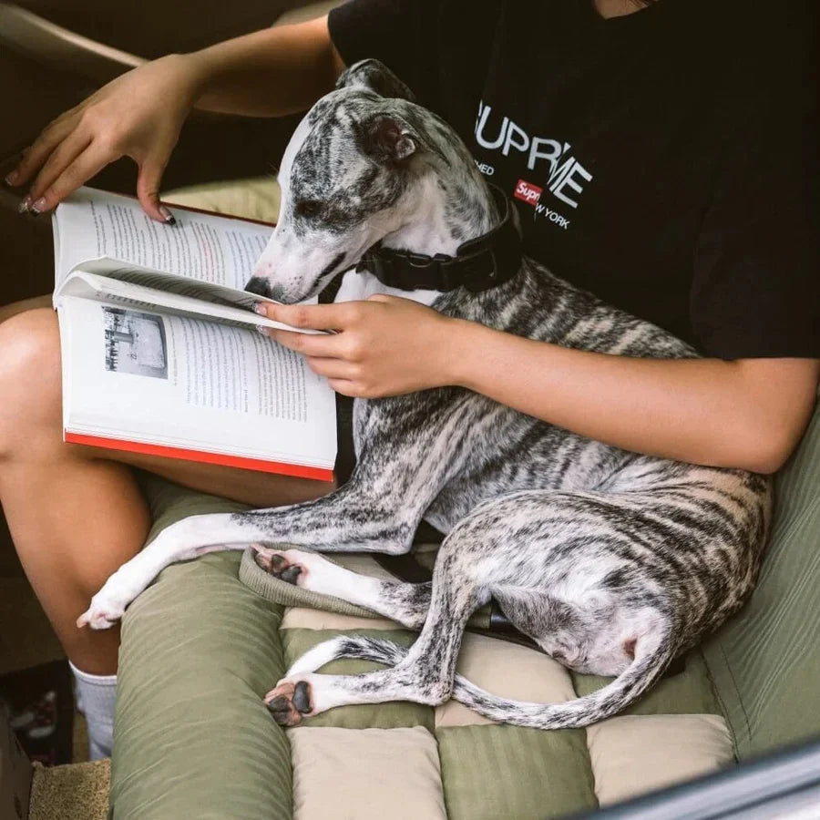 Dog Car Seat Bed | Travel Bolster Cushion  | Washable Soft Bed for Large Dogs