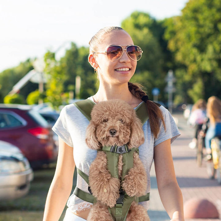 Dog Carrier Backpack | Breathable Travel Carrier | Secure Multi-Buckle