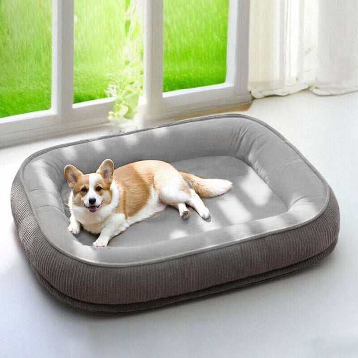 Dog Bed | Scratch Proof Suede Bed | Washable Removable Cover | Non-Slip Base | Indestructible