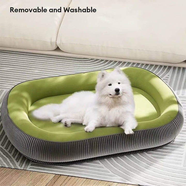 Dog Bed | Scratch Proof Suede Bed | Washable Removable Cover | Non-Slip Base | Indestructible