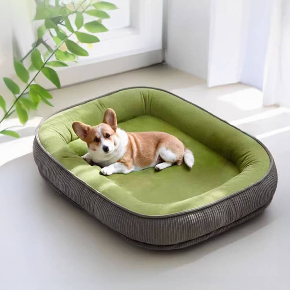 Dog Bed | Scratch Proof Suede Bed | Washable Removable Cover | Non-Slip Base | Indestructible
