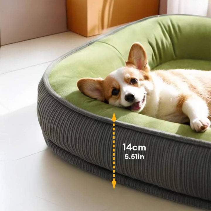 Dog Bed | Scratch Proof Suede Bed | Washable Removable Cover | Non-Slip Base | Indestructible