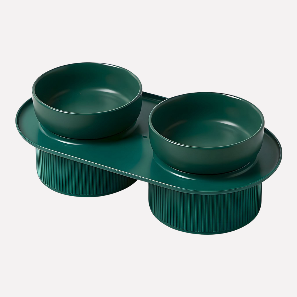 Elevated Ceramic Pet Bowl | Raised Cat & Dog Feeding Stand