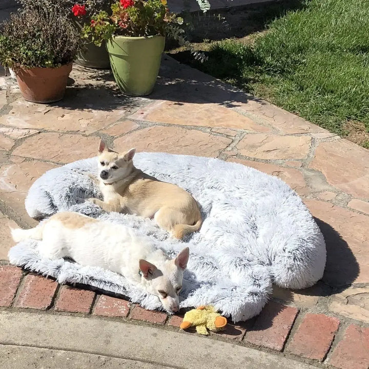 CozyPaws Washable Pet Sofa Blanket