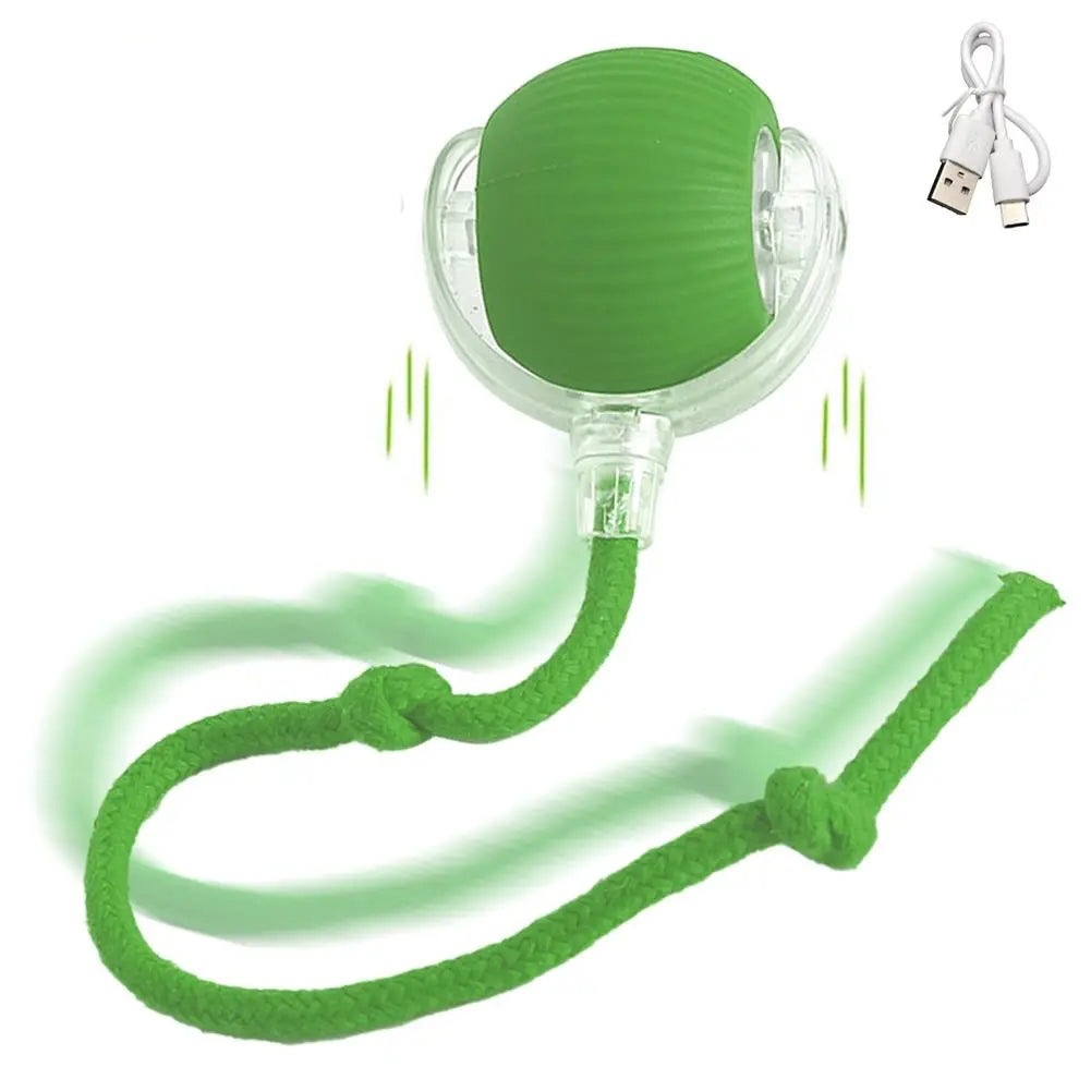 WhirlBird Interactive Cat Rolling Ball