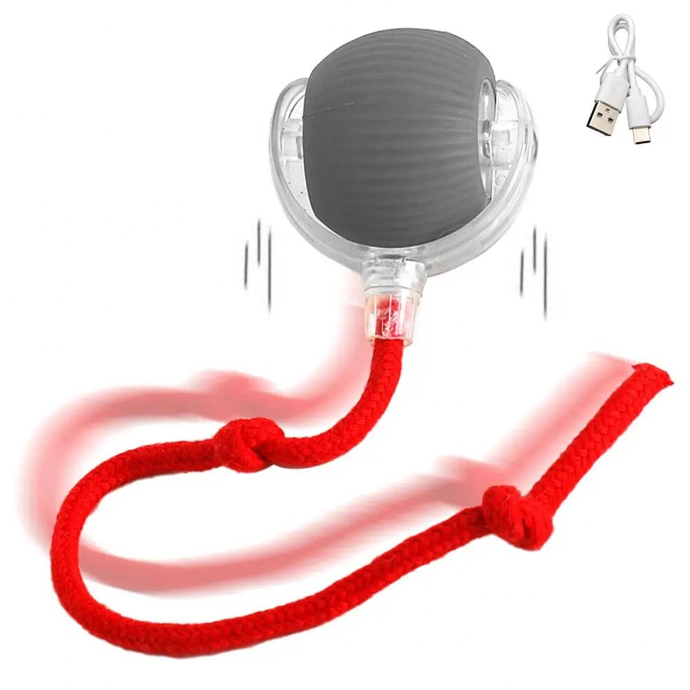 WhirlBird Interactive Cat Rolling Ball