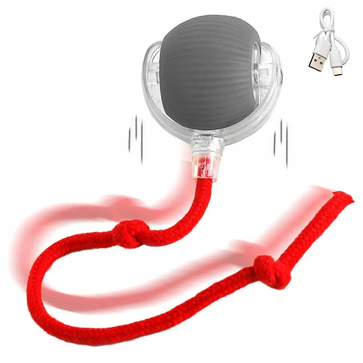 WhirlBird Interactive Cat Rolling Ball